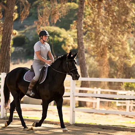 Complex Aphrodite Hills - 4*