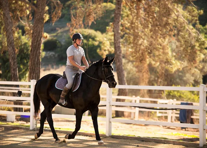 Semesteranläggning (resort) Aphrodite Hills - 4*